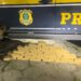 Passageiro é preso com 37 tabletes de maconha na Dutra, em Piraí
