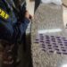 Passageiro de ônibus é preso na Dutra por tráfico de droga sintética
