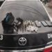 Polícia Civil prende traficante envolvido em homicídio