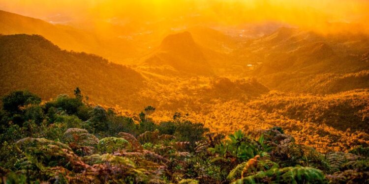 Municípios do Rio têm até dia 11 de maio para aderir ao ICMS Ecológico