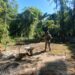 Polícia Ambiental flagra construção irregular e corte de árvores em Angra dos Reis