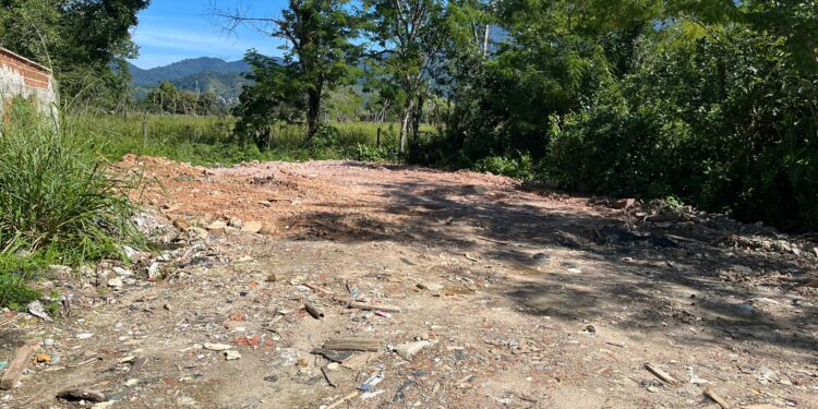 Polícia Ambiental identifica aterramento de mangue e Motosserra apreendida em Angra
