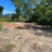 Polícia Ambiental identifica aterramento de mangue e Motosserra apreendida em Angra