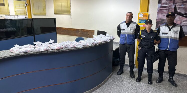 Guarda Municipal e Segurança Presente apreendem grande quantidade de cocaína em Barra do Piraí
