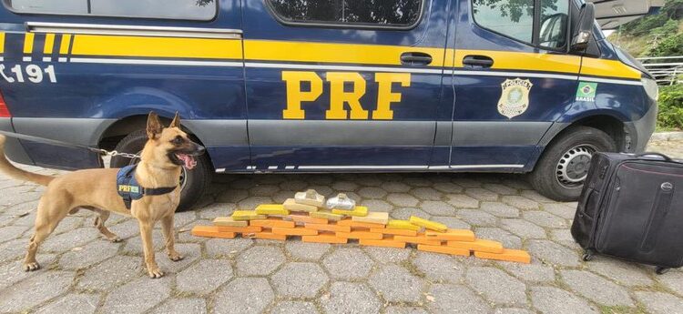Operação da PRF apreende 28 tabletes de maconha na Dutra, em Piraí