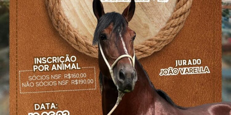 Pinheiral terá 2ª Copa de Mangalarga Marchador