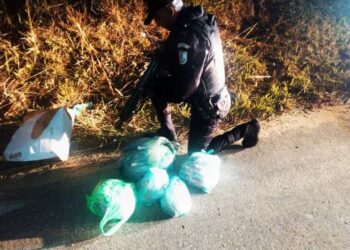 Polícia Militar apreende mais de 2,5 mil sacolés de cocaína em Vassouras