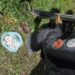 Polícia Militar apreende pinos de cocaína em Itatiaia