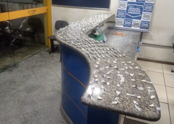Disque Denúncia leva a prisão de um suspeito e a apreensão de drogas em Miguel Pereira