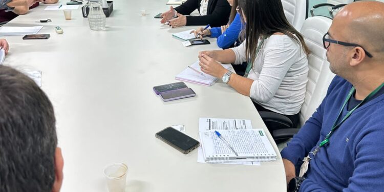 Vereador Vander Temponi participa de reunião com Light para cobrar serviços da empresa