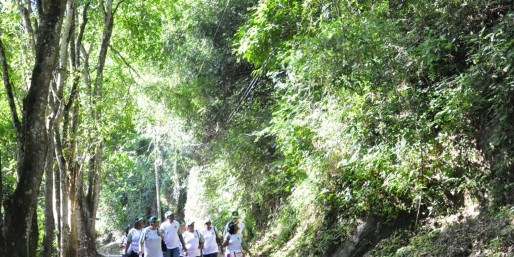 Volta Redonda inicia credenciamento para prestação de serviços de guias de turismo