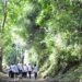 Volta Redonda inicia credenciamento para prestação de serviços de guias de turismo