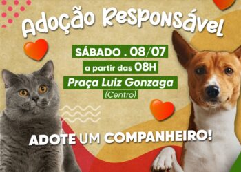 Pinheiral promove campanha de adoção responsável de animais