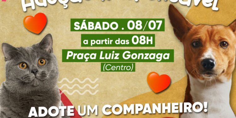 Pinheiral promove campanha de adoção responsável de animais