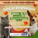 Pinheiral promove campanha de adoção responsável de animais