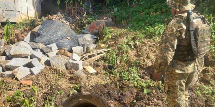 Denúncia ao Linha Verde ajuda a polícia a identificar crimes ambientais em Angra dos Reis&nbsp;