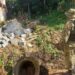 Denúncia ao Linha Verde ajuda a polícia a identificar crimes ambientais em Angra dos Reis&nbsp;