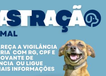 Porto Real realiza castração gratuita para cães e gatos