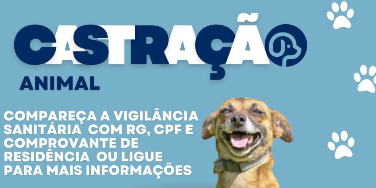Porto Real realiza castração gratuita para cães e gatos