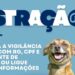 Porto Real realiza castração gratuita para cães e gatos