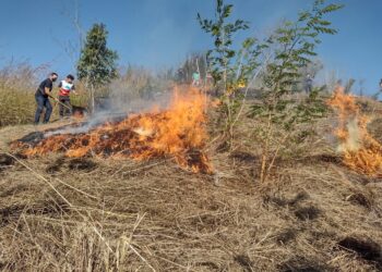 Guarda Ambiental de Barra Mansa realiza patrulhamento de prevenção contra queimadas