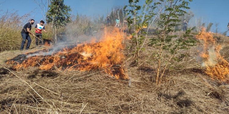 Guarda Ambiental de Barra Mansa realiza patrulhamento de prevenção contra queimadas