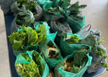 Pinheiral inicia distribuição de Cesta de Alimentos do Ceasa/RJ