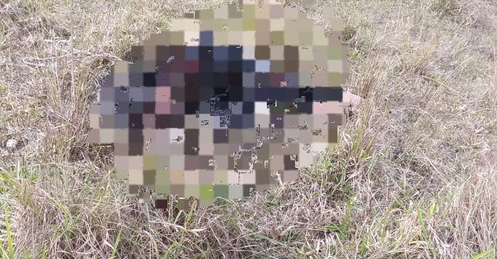 Corpo é encontrado carbonizado no Vila Verde, em Resende