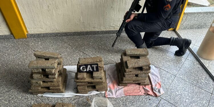 Polícia Militar apreende 60 kg de maconha em Barra do Piraí