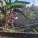Disque Denúncia leva polícia a localizar construção irregular na Ilha Grande, Em Angra