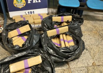 PRF apreende 124 tabletes de maconha na Dutra, em Piraí