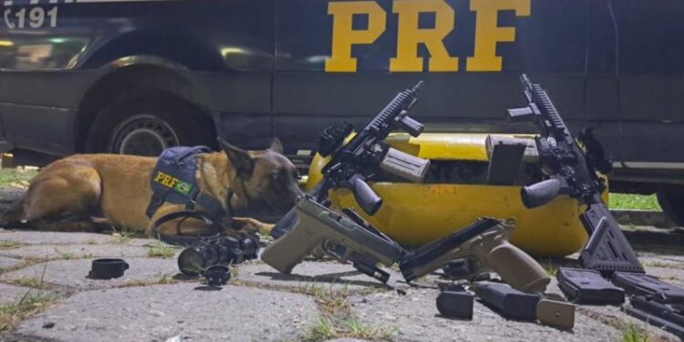 PRF flagra fuzis e pistolas escondidas em cilindro de gás na Dutra, em Piraí