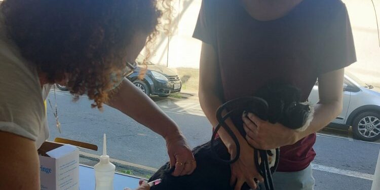 Barra do Piraí imuniza cerca de cinco mil animais durante campanha de vacinação antirrábica