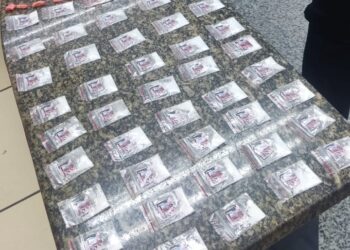 Polícia Militar apreende grande quantidade de drogas em Paraty