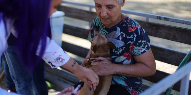 Começa neste sábado Campanha de Vacinação Antirrábica em Volta Redonda