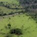 Aberto prazo para entrega da Declaração do Imposto Territorial Rural