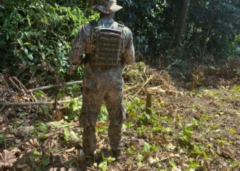 Polícia flagra desmatamento e supressão de vegetação na Ilha Grande, em Angra dos Reis
