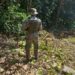 Polícia flagra desmatamento e supressão de vegetação na Ilha Grande, em Angra dos Reis