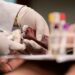 Hemonúcleo de Barra Mansa pede à população para continuar doando sangue
