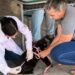 Barra Mansa vacina 7 mil animais em campanha antirrábica