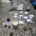 Polícia Civil prende traficante associado à facção criminosa em Paraty
