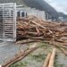 Caminhão carregado com troncos de madeira tomba na Dutra, em Barra Mansa