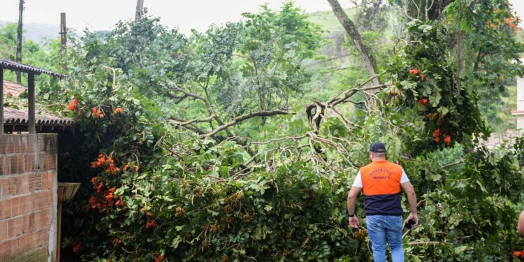 Prefeitura e Saae continuam ações de prevenção contra fortes chuvas em Barra Mansa