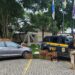 PRF apreende mais de 200 aves silvestres em Piraí