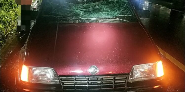 Homem embriagado é atropelado na Estrada do Parque Nacional de Itatiaia