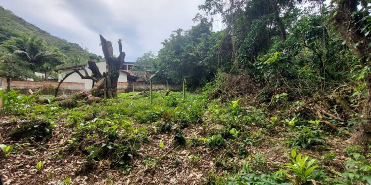 Polícia Ambiental identifica loteamento irregular e desmatamento em Angra dos Reis