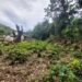 Polícia Ambiental identifica loteamento irregular e desmatamento em Angra dos Reis
