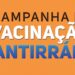 Prefeitura de Pinheiral promove Campanha de Vacinação Antirrábica