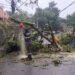 Volta Redonda registra 37 mm de chuva nesta terça-feira