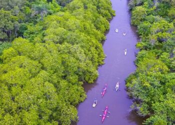 Abertas as inscrições para a 7ª Remada Ecológica de Paraty